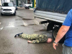 На автозаправке в Таганроге мужчина разбил голову под колесами собственной машины