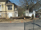 Несколько старых деревьев вырубили в Таганроге 