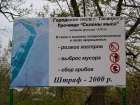 Уборка лесов Таганрога обходится почти в 600 тыс. рублей 