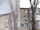 Упавшим деревьям не место на улицах Таганрога