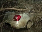 Два автомобиля пострадали от стихии в Таганроге