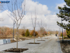 В парке 300-летия Таганрога прошла акция "Сад памяти"