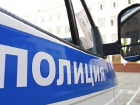 Пропавшую в Таганроге Алену Позднякову нашли