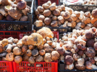 Жители Таганрога отказались покупать «золотые» грибы и мертвую рыбу