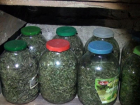 Закрутки на зиму: под видом заготовок таганрожец спрятал 10 кг марихуаны