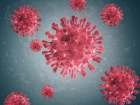 Количество пациентов с коронавирусом в РО увеличивается