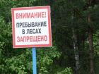 Аномальная жара в Таганроге может стать причиной лесных пожаров