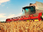 В Ростовской области  увеличат объем переработки сельхозпродукции