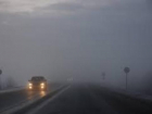 МВД предупреждает о сильном тумане на трассах Ростовской области