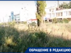 «Трава уже с человеческий рост», - таганрожец о природе в районе Простоквашино