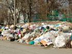 В Таганроге жители микрорайона выносят мусор к храму