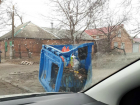 В Таганроге некоторые граждане ведут себя, как животные с пятачком
