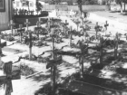 Останки немецких солдат возле Свято-Никольского храма Таганрога будут перезахоронены