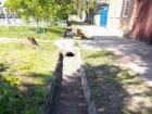 В Таганроге специалисты коммунальных служб косят траву 