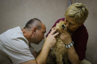 Лечение животных- ветеринарная клиника "Орто-Вет" - 