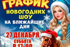 27 декабря откроется дверь в сказку, которая умеет удивлять