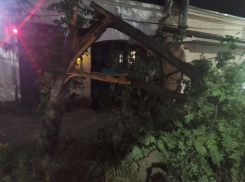 Последствия вчерашней стихии обещают устранить до 14:00