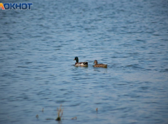 Таганрог: прогноз погоды на выходные дни 22 и 23 июля