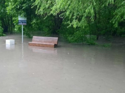 Роща «Дубки» после ливня на некоторое время превратилась в Венецию 