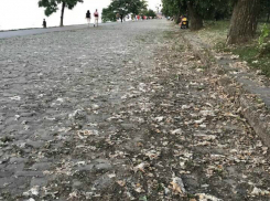 Неухоженное, гниющее «лицо» Таганрога не нравится жителям 