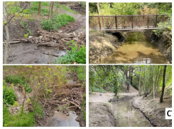 Роща «Дубки» станет излюбленным местом отдыха таганрожцев