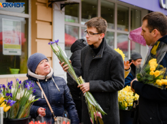 День любви и верности в Таганроге: цифры и факты