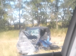 Под Таганрогом в лоб столкнулись два автомобиля