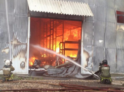 Крупный пожар в Мясниковском районе тушили 29 человек