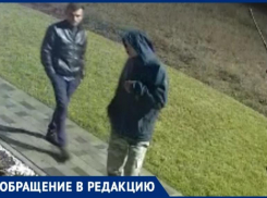 «Чернобровые красавцы» воруют деревья в частном секторе Таганрога