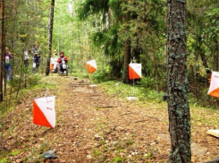 Таганрогских спортсменов заставят поработать головой