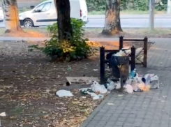 Раньше называли бульваром Кампенгаузена, а теперь превратили в помойку: еще одно проблемное место Таганрога