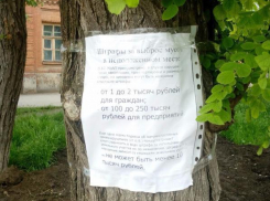 Противостояние таганрогских школьников и работников рынка вышло на открытый уровень
