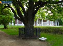 Таганрог: прогноз погоды на праздничные дни с 10 по 12 июня 