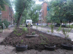 Власти Таганрога нашли способ борьбы со стихийными свалками