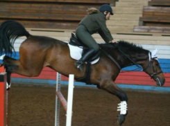 Этап конно-спортивного марафона «Кубок Победы» прошел в Таганроге