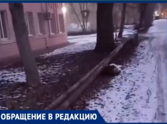 На улице Свободы в Таганроге появился островок весны