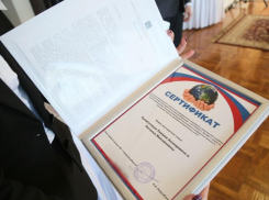 Многодетные семьи Таганрога сохранят право на земельные сертификаты 