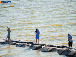 Супербактерии из Таганрогского залива: ученые ЮФУ обнаружили новую угрозу