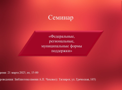 Cеминар по вопросам финансовой поддержки пройдет в Таганроге