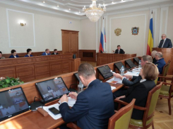 На подведение коммуникаций к участкам для многодетных в Ростовской области нужно 44 млрд рублей