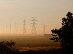 Таганрогским дачникам рассказали, за что их могут оштрафовать зимой