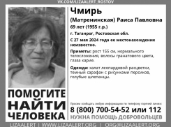 Пропавшая в Таганроге женщина погибла