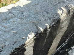 В Таганроге лишили торгового места продавца книг