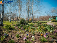 В парке «300-летия Таганрога» решили выкопать цветы из клумб