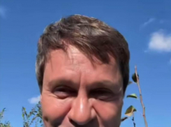 Павел Деревянко назвал «лучший город на земле» по его мнению