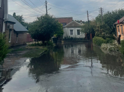 Хотите проверить свою ловкость? Попробуйте вынести мусор на Харьковской