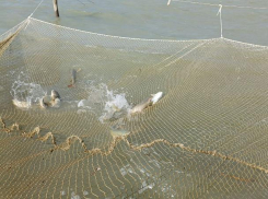 Азовское море меняется: таганрогские рыбаки столкнутся с новыми вызовами и возможностями