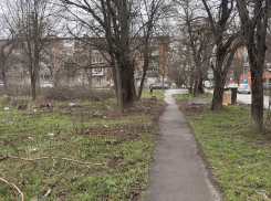 «Здесь не наводили порядок несколько лет»: таганрожцы просят убрать заброшенный участок 