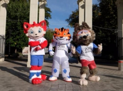 Футбольные болельщики выберут талисман чемпионата мира по футболу 2018