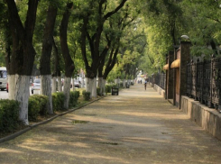 Погода в Таганроге на пять рабочих дней: будет жарко 